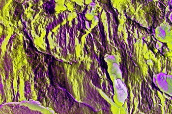 AP 141C1